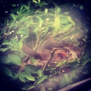 Meet your Posher, Ashlee